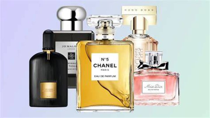 Best female perfumes - How To Discuss