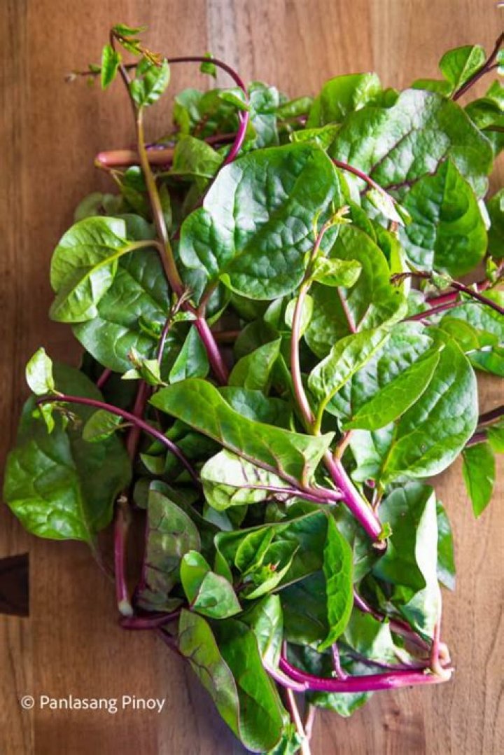 Spinach In Tagalog - How To Discuss