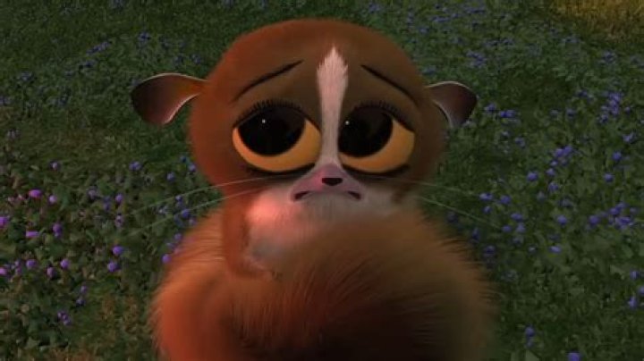 What Animal Is Mort From Madagascar